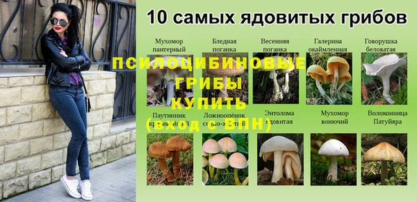 амф Абаза