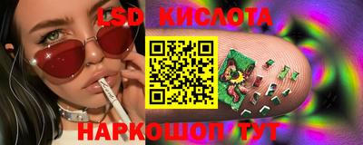 стафф Новозыбков