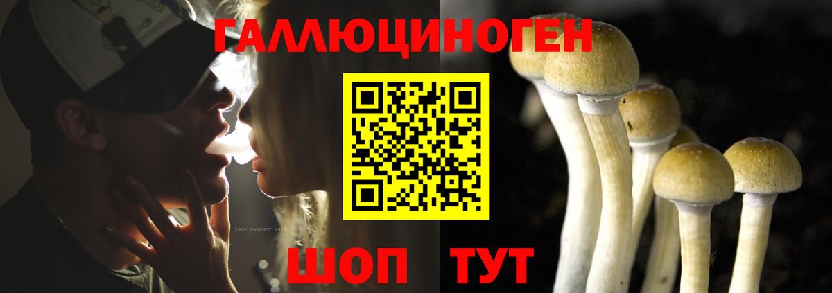 Галлюциногенные грибы мухоморы  купить наркотик  Красноперекопск  Вход с VPN 